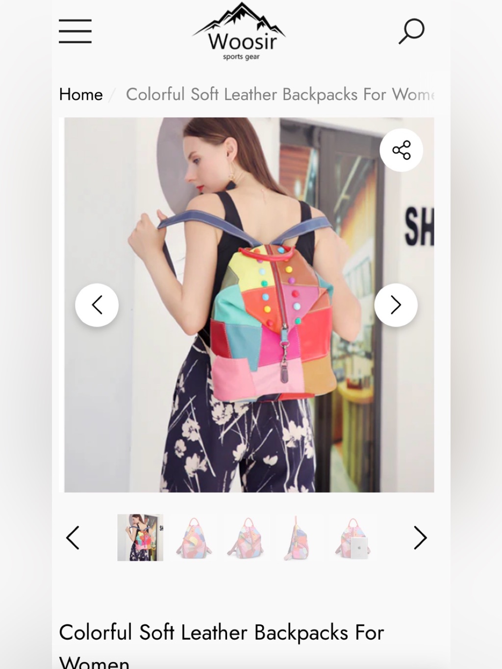 Woosir Colorblock Multi-Color Patchwork Backpack